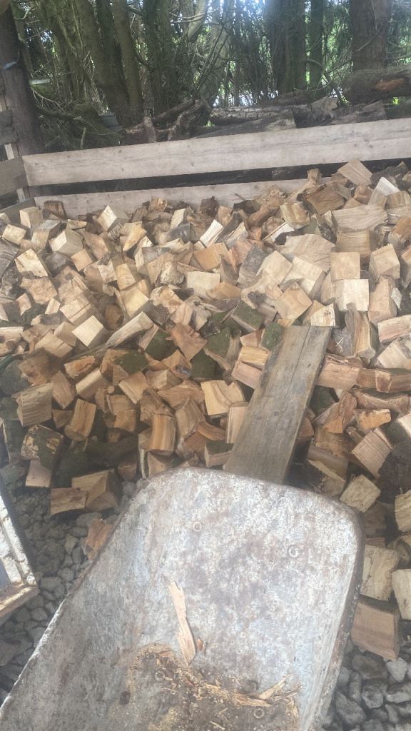 Hardwood logs