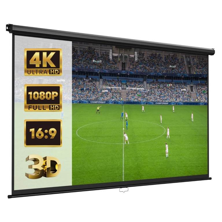 New 80 inch projector screen