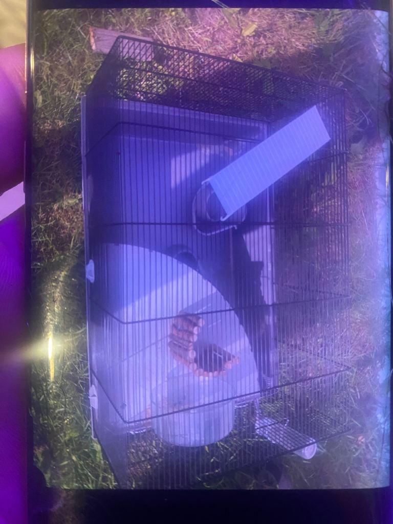 Hamster cage with accessories for sale 