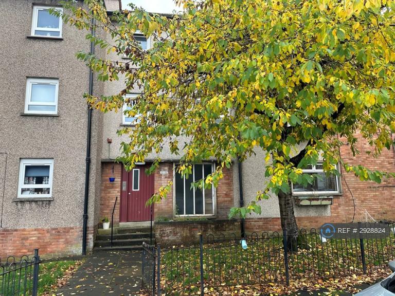 1 bedroom flat in Morgan Street, Hamilton, ML3 (1 bed) (#2928824)