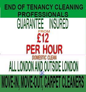  House Deep Cleaning Services, Professional End of Tenancy, Carpet, Oven, One-Off Cleaners Available
