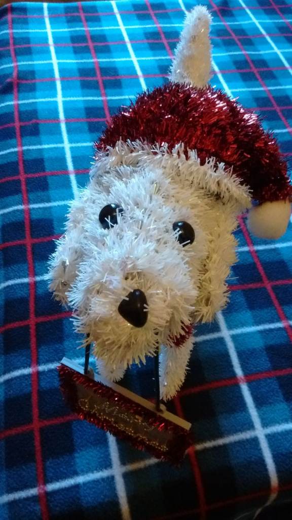 Merry Christmas Toy Dog
