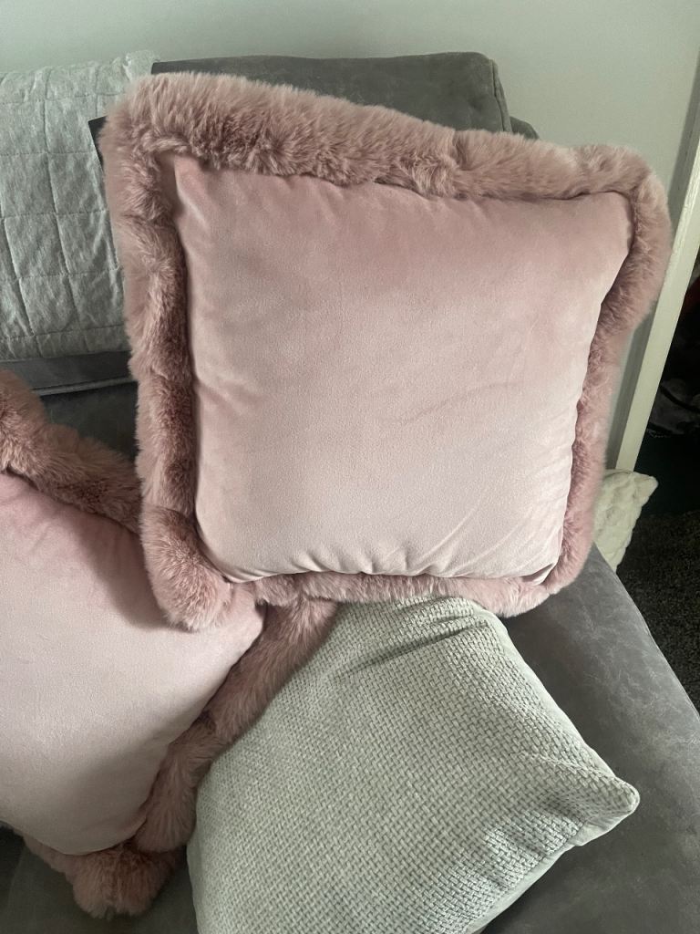 Gorgeous cushions 
