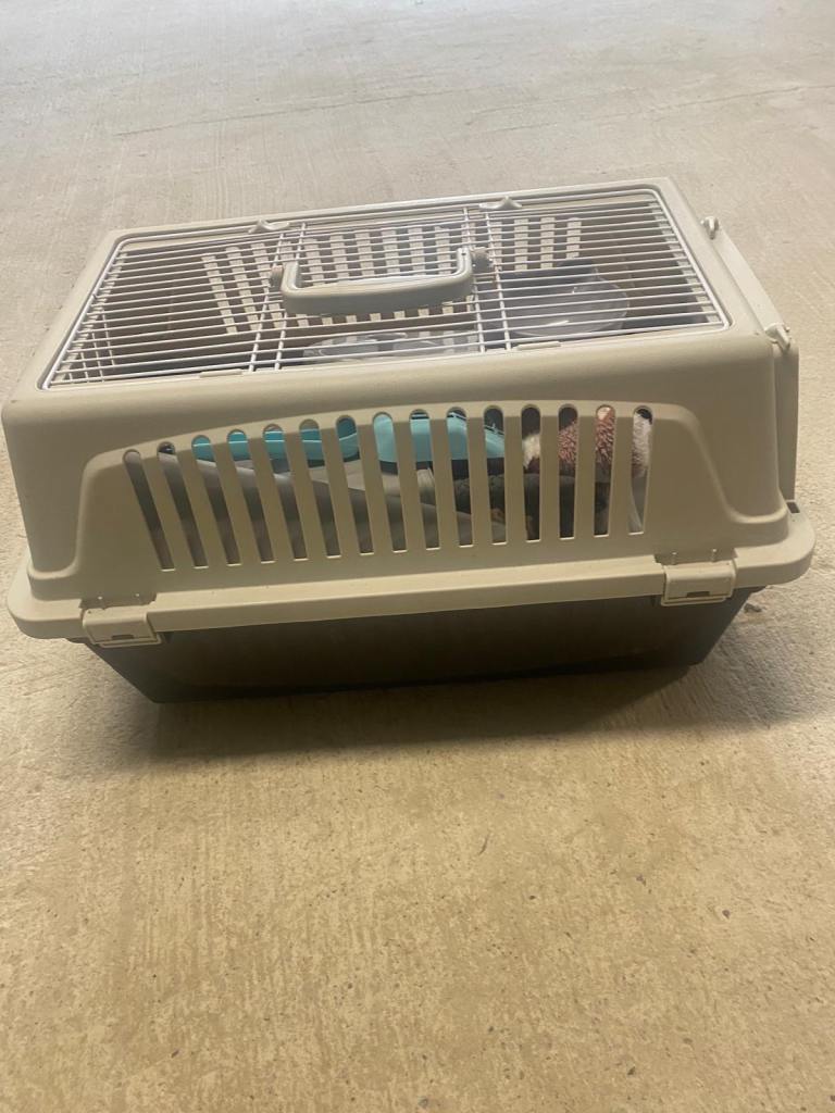 Cat or dog pet carrier