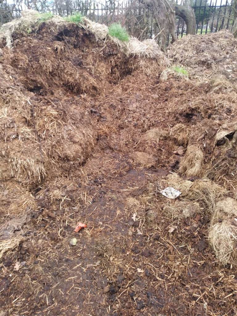 Horse manure for sale 