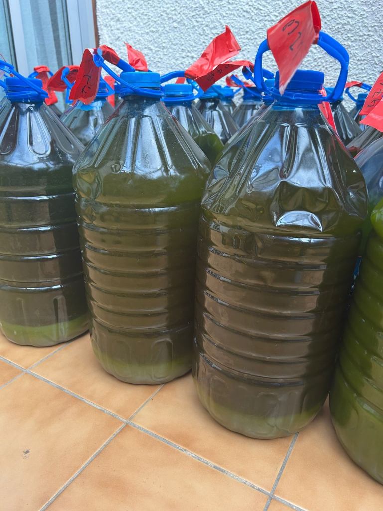 Extra virgin olive oil 