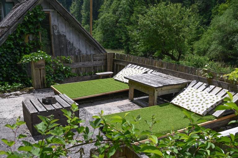 A Home with a Story – Near Lake Bled, Slovenia