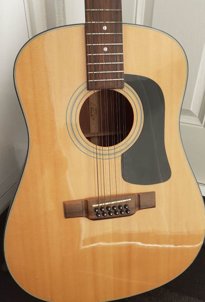 Washburn D-12-12N  12 string Acoustic guitar 
