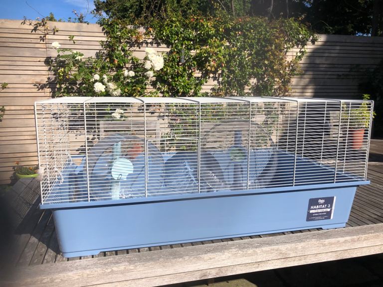 Hamster cage and exercise wheels