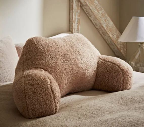 Teddy Bear Cuddle Cushion