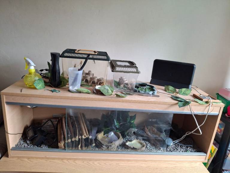 Reptile vivarium
