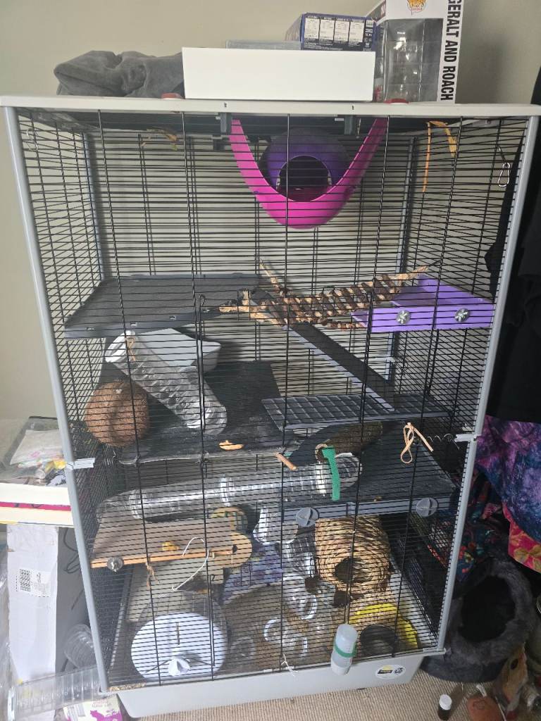 Very large rat cage 