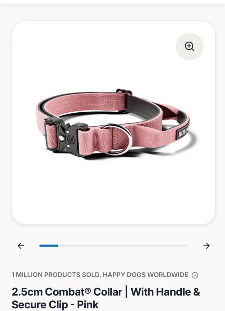 X small customised dog collar 