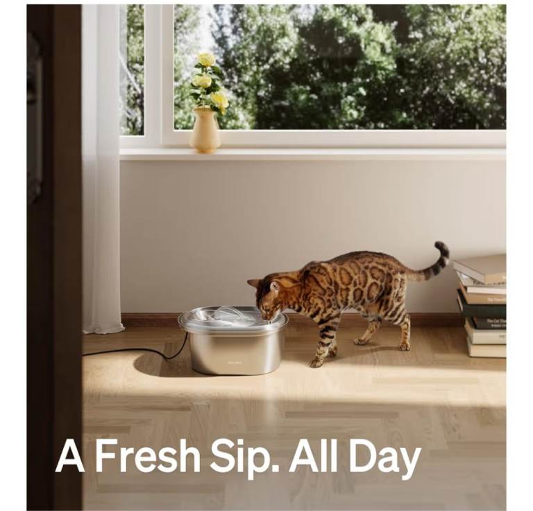 PETLIBRO Stainless Steel Cat Water Fountain, 101oz/3L Pet Water Fountain, please see Description 