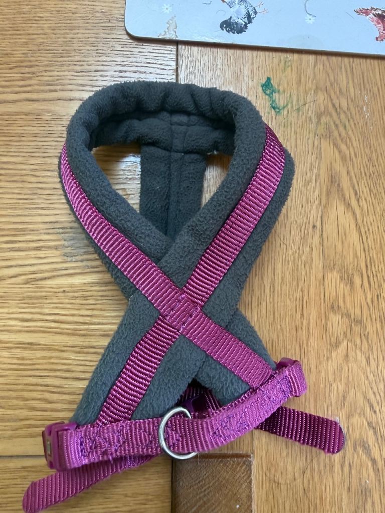 Padded Trixie dog harness - small
