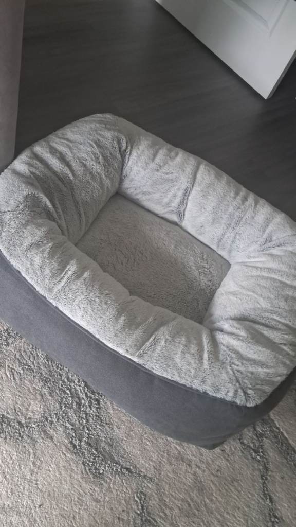 Medium Memory Foam Dog Bed