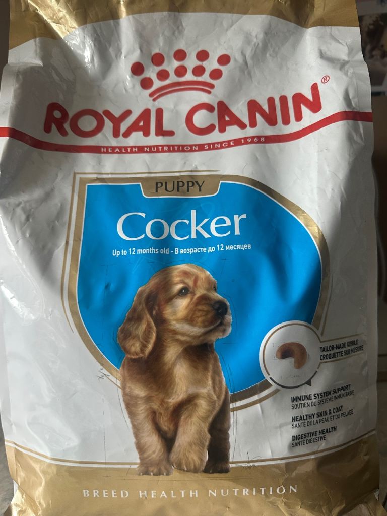 Puppy kibble 