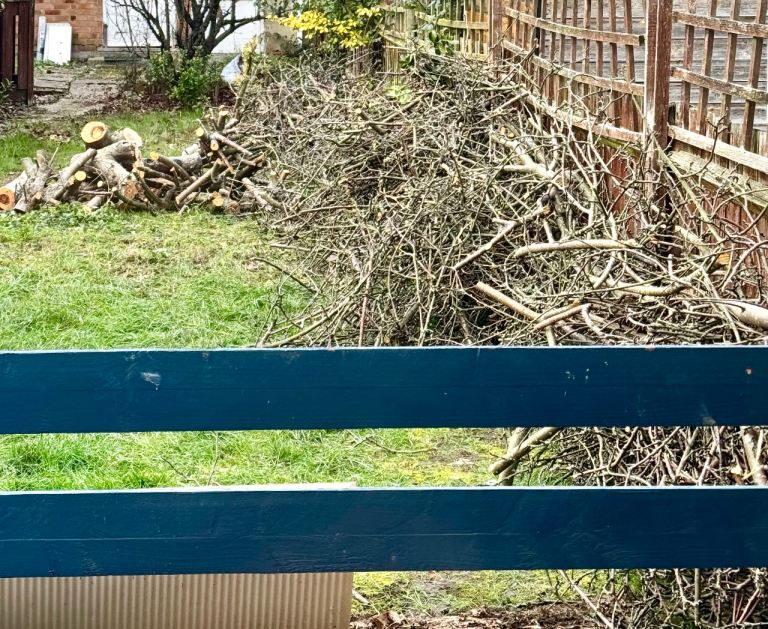 Apple Wood Logs & Branches for Sale – Ideal for Firewood & BBQ Smoking