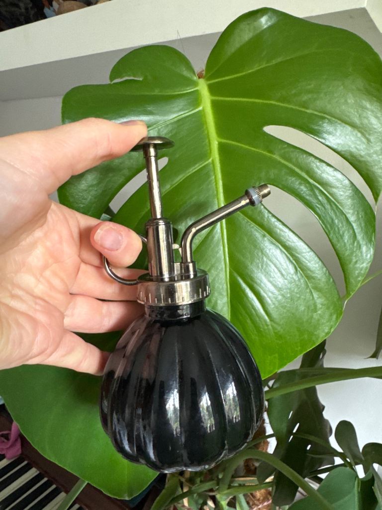 Black glass plant sprayer with metallic top