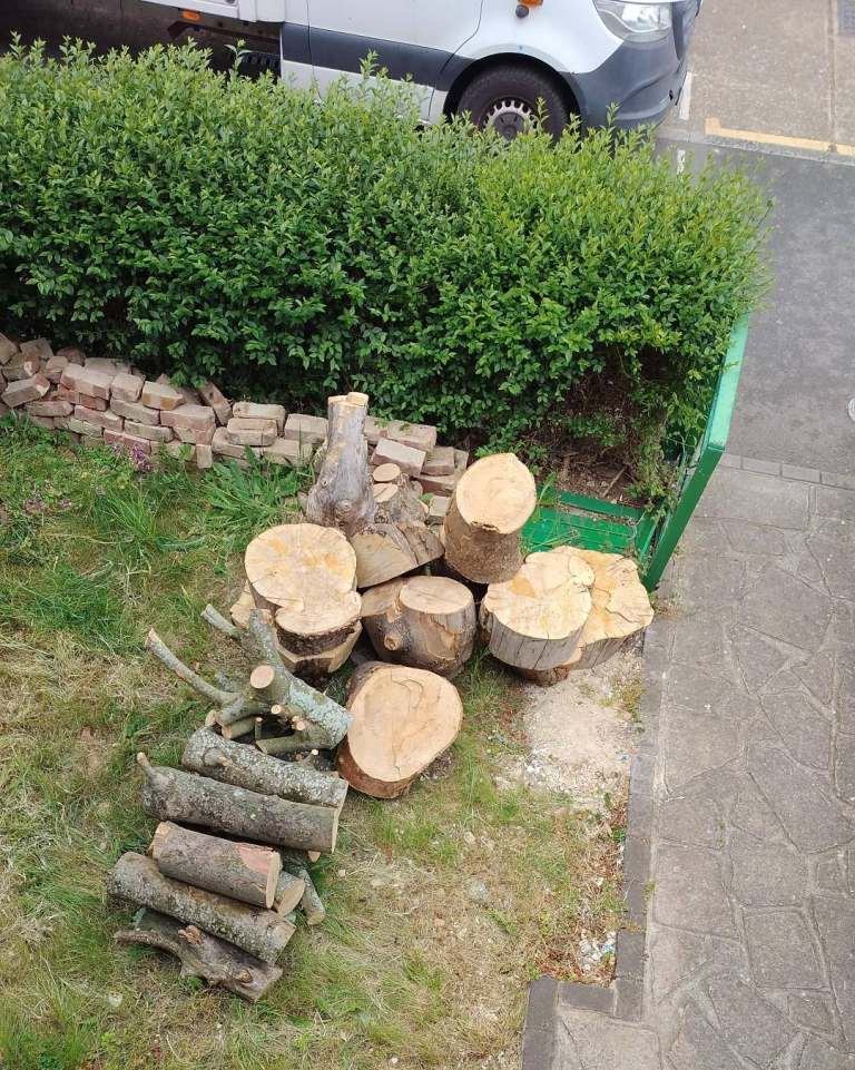 Free Logs, wood, firewood, timber 