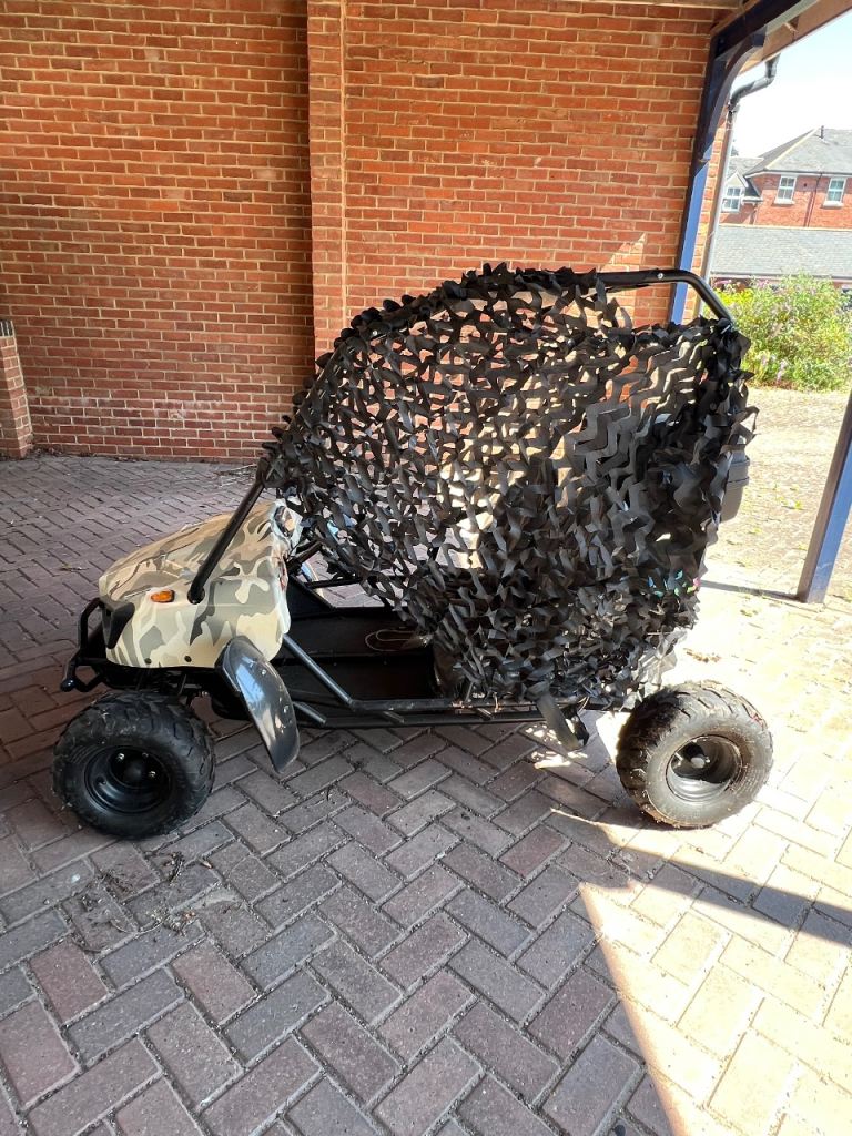 Electric buggy