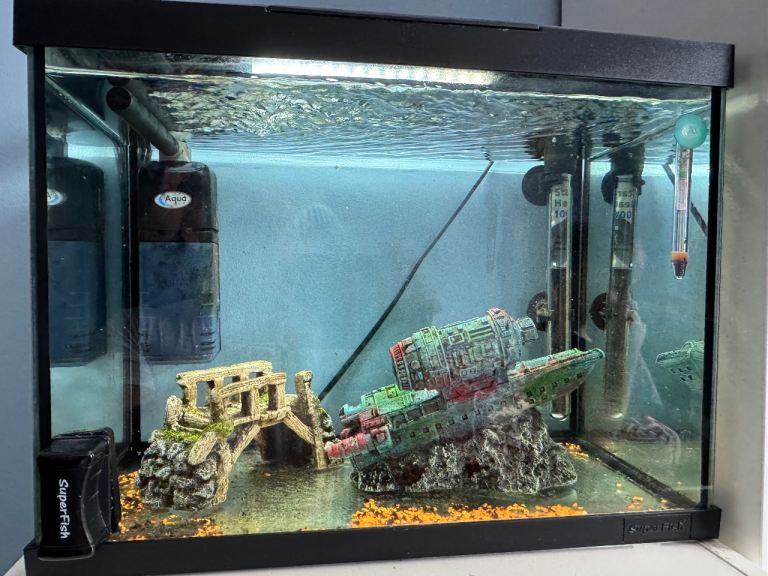Fish tank and accessories 