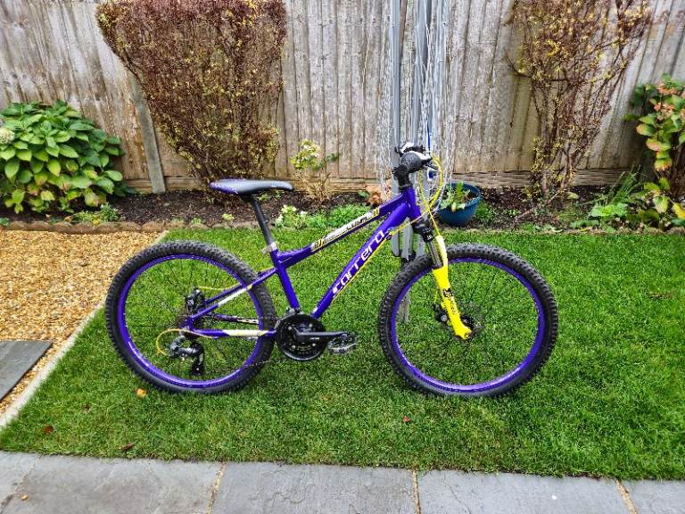 Carrera Luna 2019 Junior Kids/Teen Disc MTB Excellent Condition 