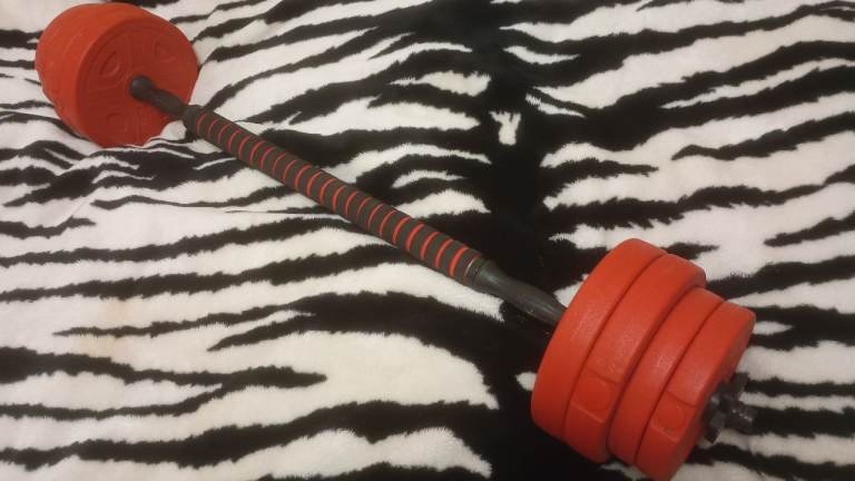 Small barbell with weights