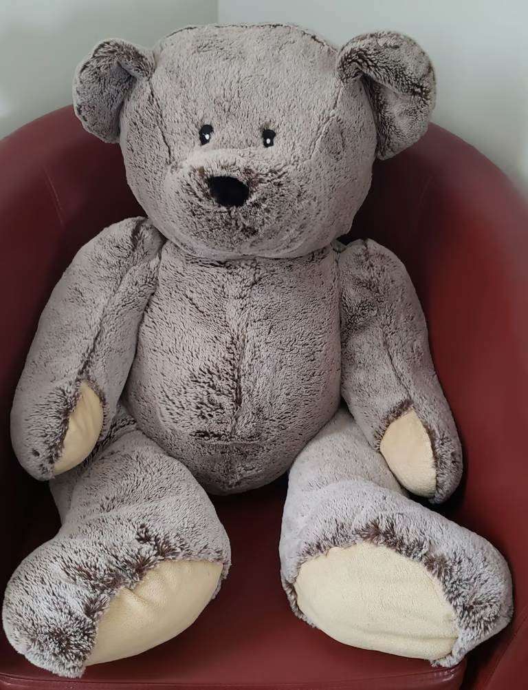 Large Teddy Bear