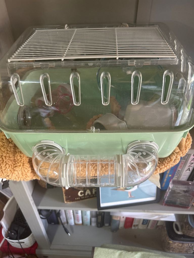 Spotlessly clean small animal cage