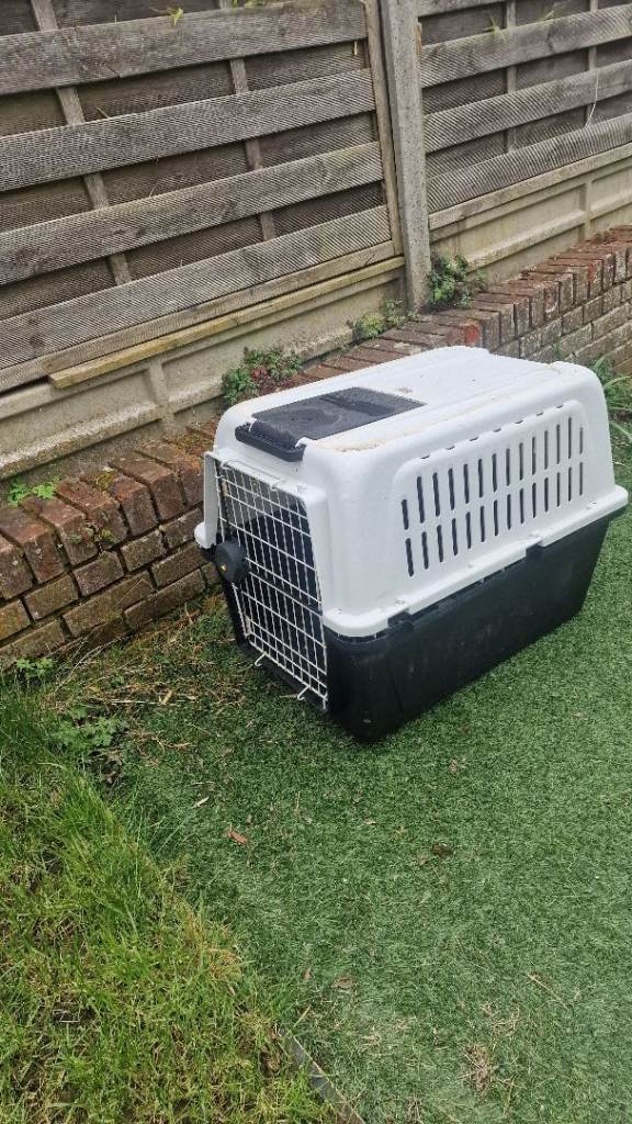 large dog carrier travel