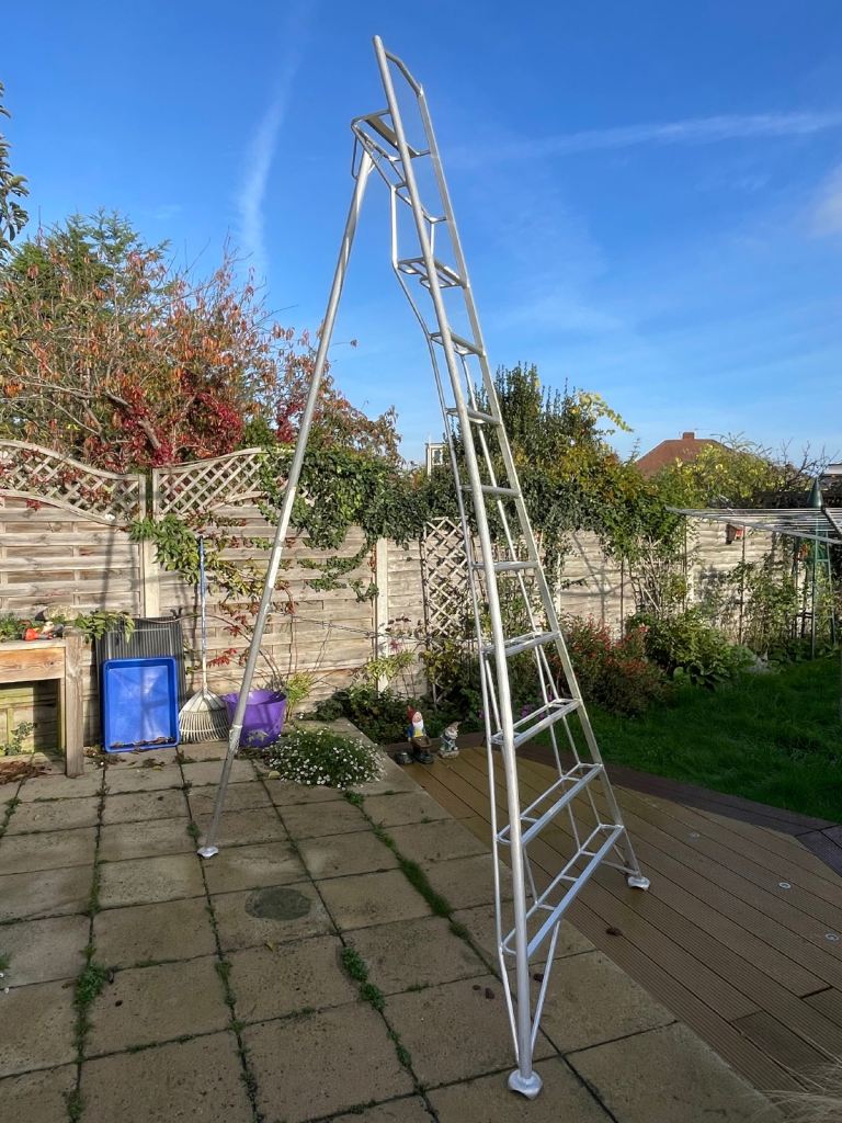 Henchman tree ladder 3m or 10ft