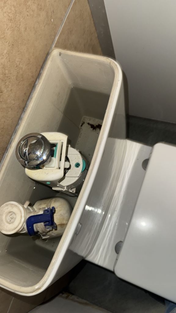 Emergency plumbing service 24/7 