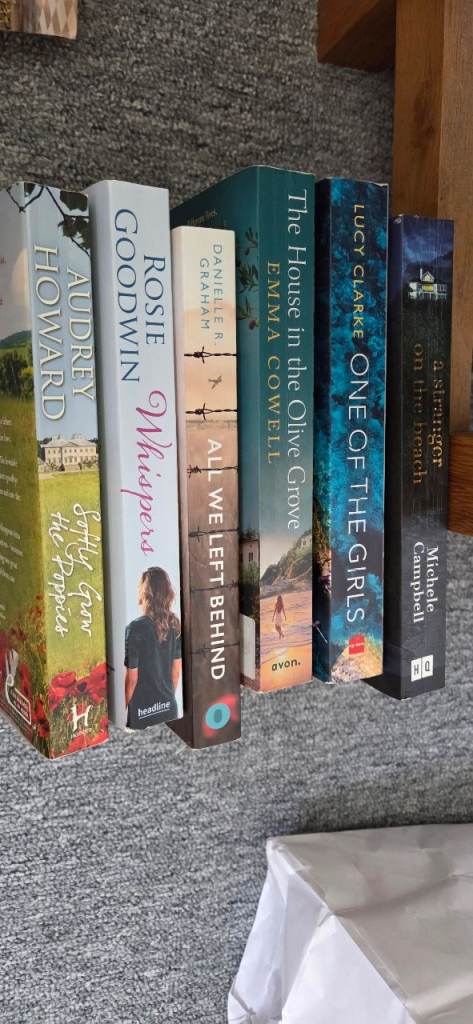 Six Fiction Books Job Lot – Good Condition Reads