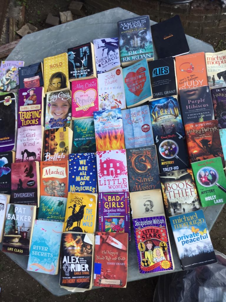 image for Huge joblot of fiction n non fiction books - library worthy. 