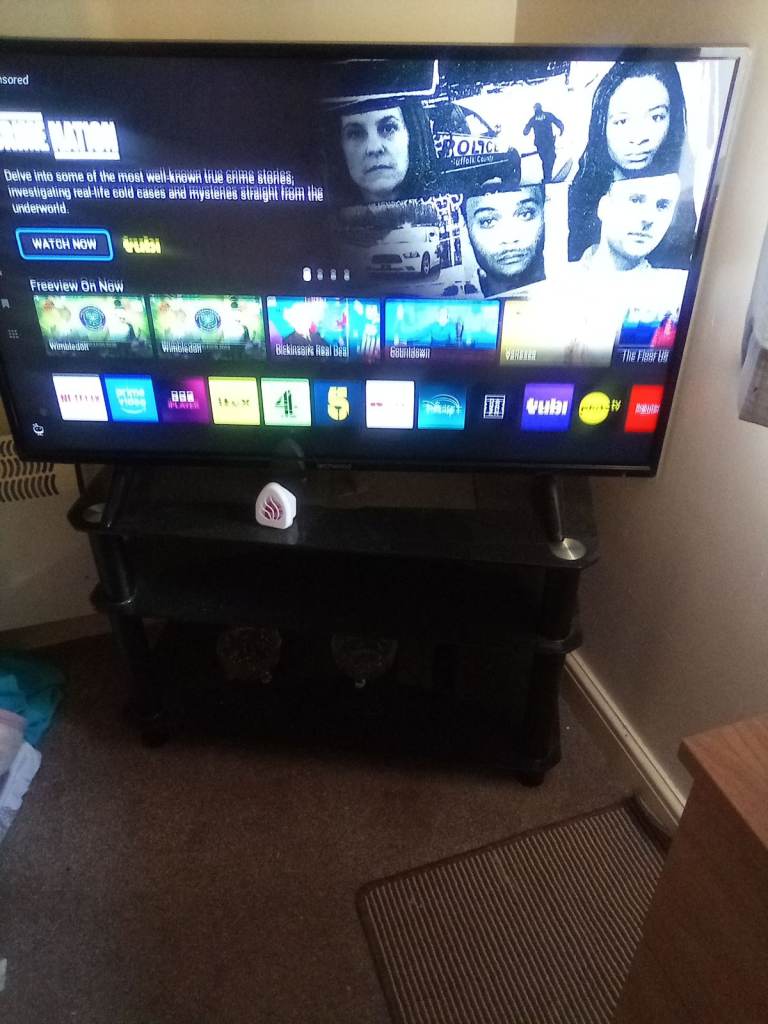 42-inch Black LCD/Plasma TV with Matching Stand