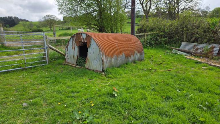 Free Free Pig Sty Agricultural shed