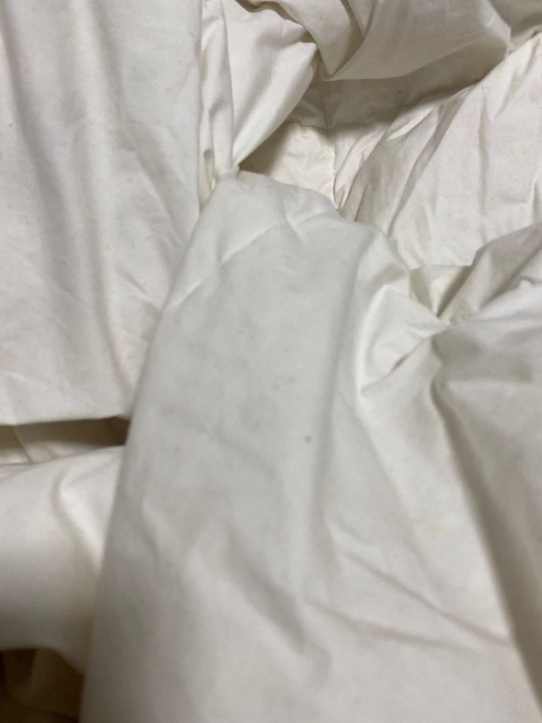 2 x double winter or summer white goose down duvets - £8 (Wallisdown)
