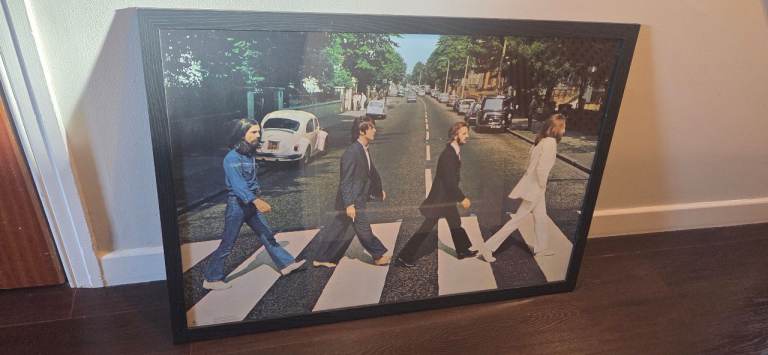 Framed Beetles picture