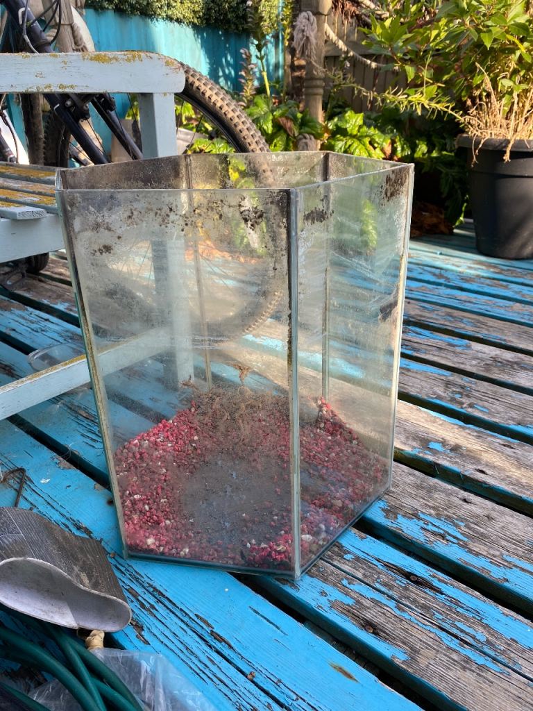 Used Hexagonal Glass Fish Tank