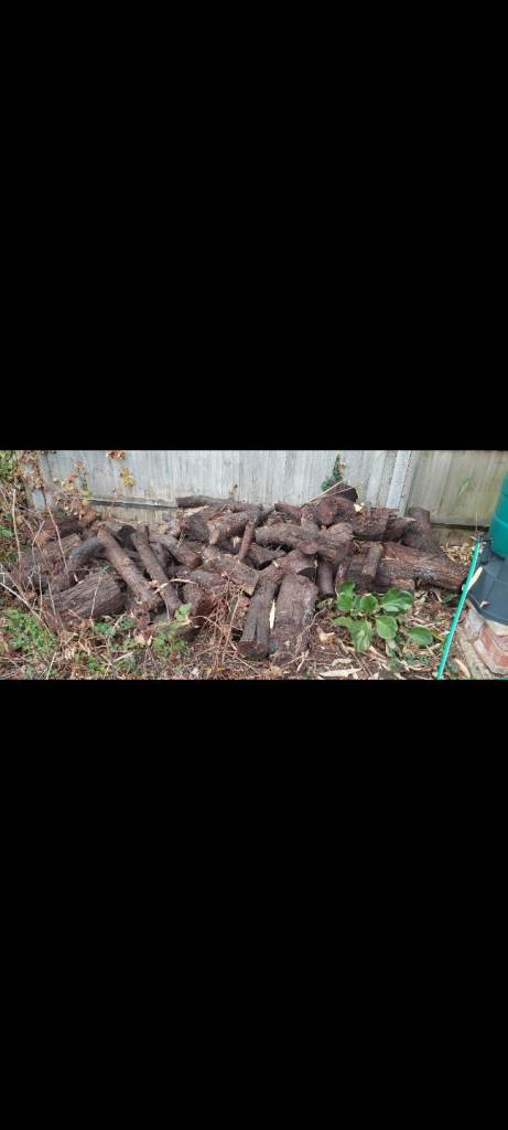 Log wood 🪵 for give away for free.