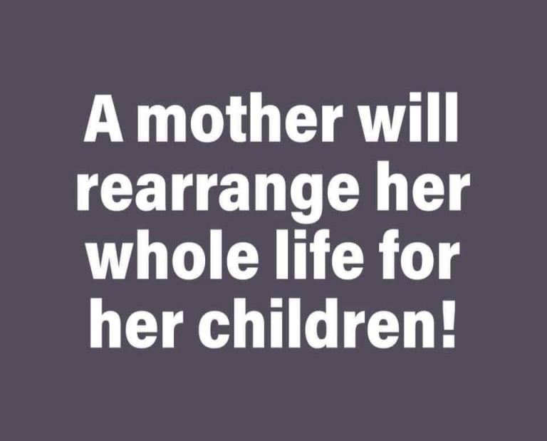 3 bedroom house to rent needed 