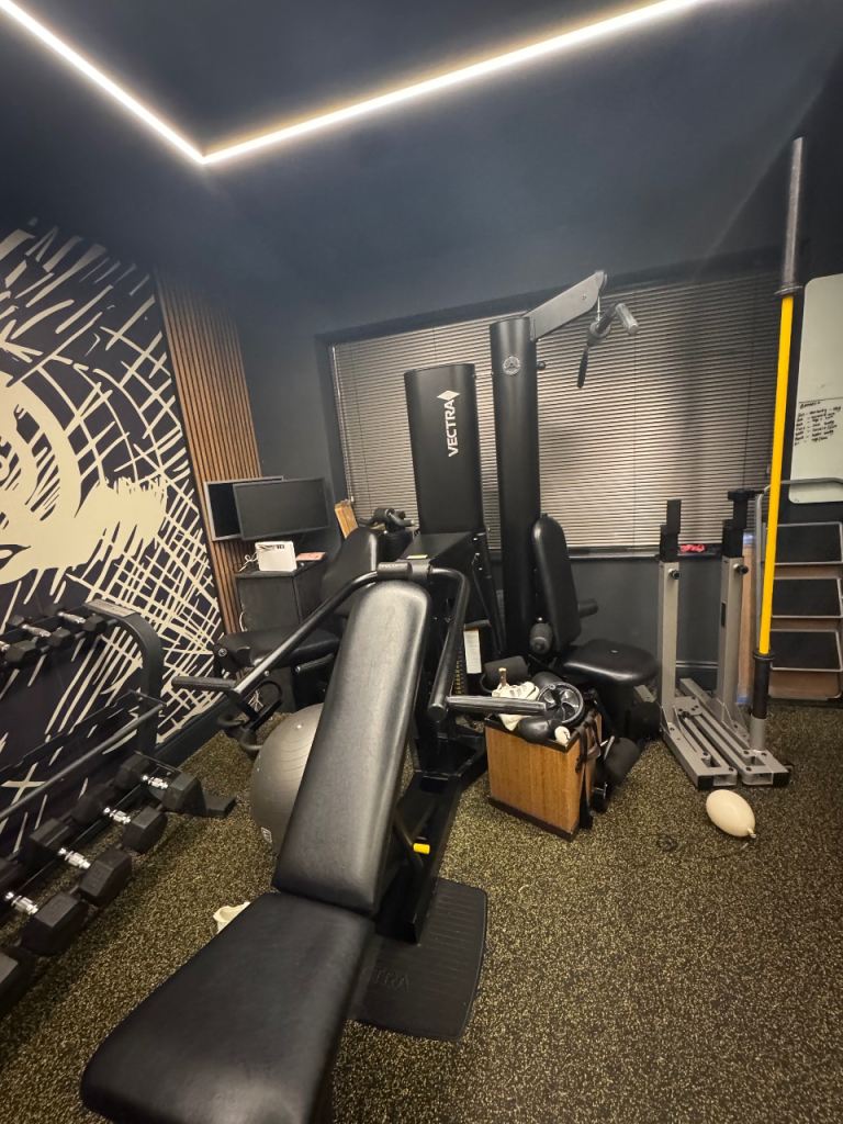 Vectra multi gym equipment 