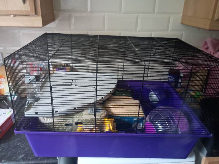 Hamster cage & accessories 