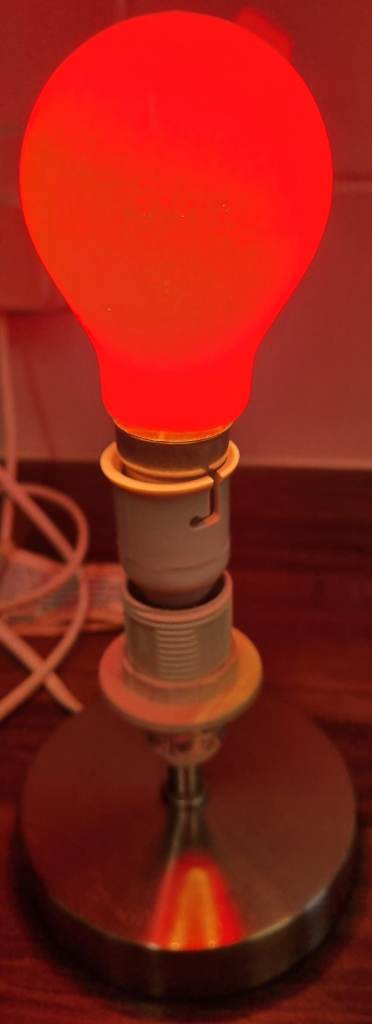 Used Red Incandescent Filament Bayonet Cap Light Bulb | 60W BC B22 | Made in Britain LS2 Leeds Uni