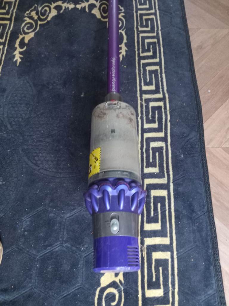 Dyson cyclone v 10 animal