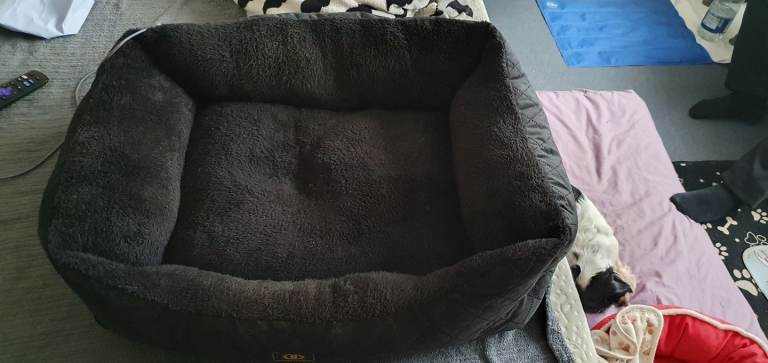 Black fluffy dog bed £10