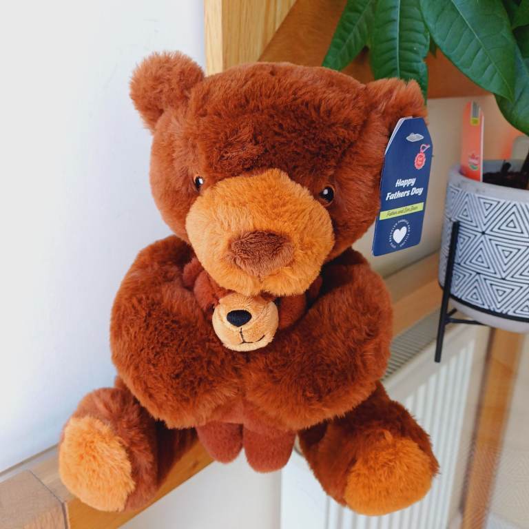 Brown & Tan Teddy Bear's