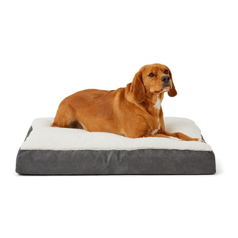 Dog Mattress