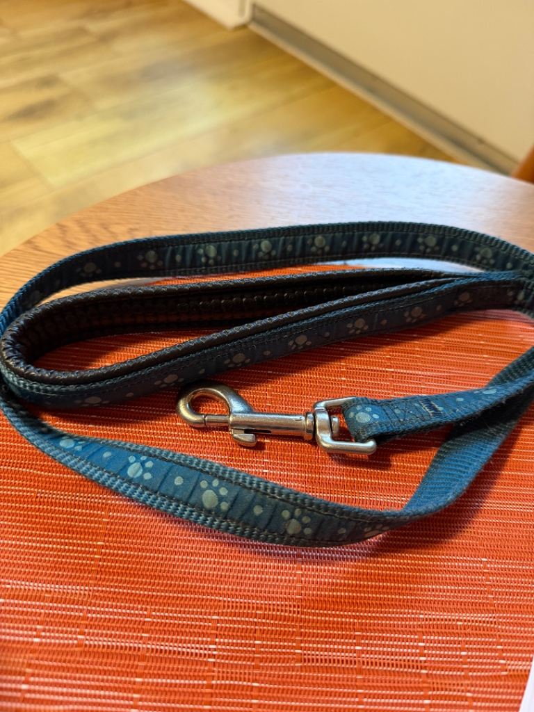 Blue paw print dog lead